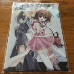 新品未開封　これはゾンビですか？ クリアファイル 付録　ドラゴンエイジ