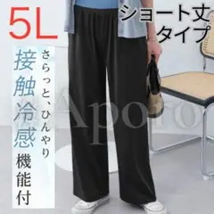 ヴィオラ エ ヴィオラ さらテロ楽ちんストレートパンツ 接触冷感 ブラック 5L