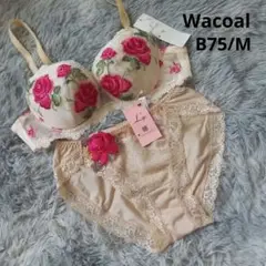 ワコールルジェ バラ刺繍ブラジャーショーツセット B75