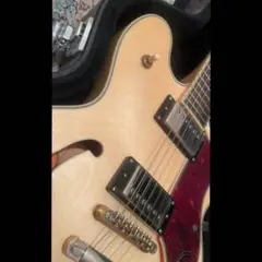2025年最新】epiphone sheraton ii proの人気アイテム - メルカリ