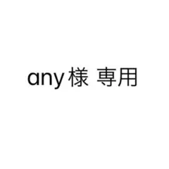 【any様専用】