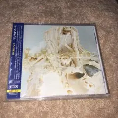 イン・リボンズ/ペイル・セインツ