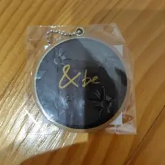 &be アクリルスライドミラー