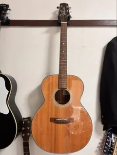 Takamine タカミネ TSA500 アコースティックギター 美品 Takamine タカミネ/楽器｜REXT ONLINE 公式通販サイト