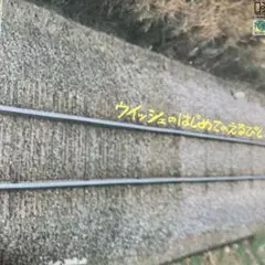 ウィッシュ♪はじめてのえるぴい♪ LP レコード／