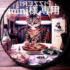 美品 アリアンス ダイヤモンドリング サイズ 50 日本サイズ 10号