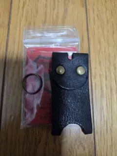 Item thumbnail for item 58f29506-d706-4ac8-9f5d-95db10f896a2