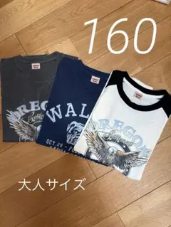 新品⭐️しまむら／アンバーロア／AMBERROAR／160サイズ／希少／3枚セット
