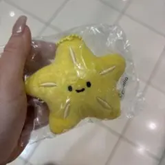 にっこりーの　スターフルーツ