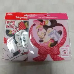 ディズニーランド ミニー ウォッシュタオル 2枚セット
