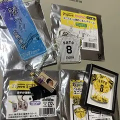 阪神タイガース シークレット　佐藤輝明
