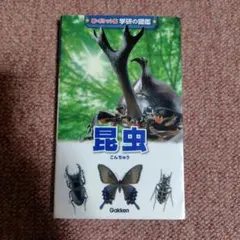 新　ポケット図鑑　学研の図鑑　昆虫