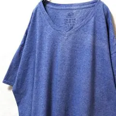 フルーツオブザルーム 無地 Tシャツ ブルー 青 2XL 古着