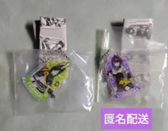 原神 アクリルチャーム ガチャガチャ 九条裟羅 ティナリ 2点セット