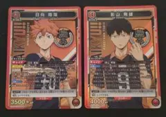 【最安】ユリオンアリーナ ハイキュー 日向翔陽 影山飛雄 SR 2点セット