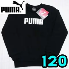 Item thumbnail for item c5825ae6-3761-4610-b143-a163b31109b8