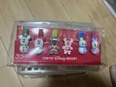 レア　ディズニー　クリップセット