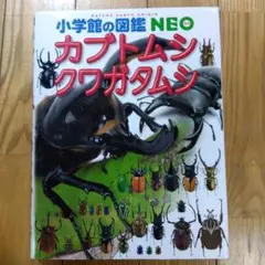 あーちゃん様　カブトムシ・クワガタムシ