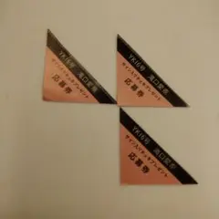 滝口愛奈【チェキ応募券３枚】ヤングキング