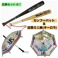 東京ヤクルトスワローズ♡ 応燕セット