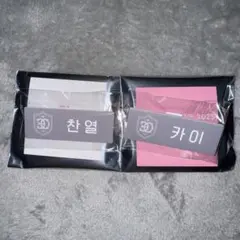 SMTOWN POP UP ネームバッジ　EXO 2枚セット