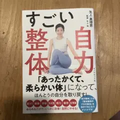 すごい自力整体