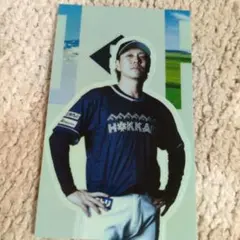 WE LOVE HOKKAIDO 限定ステッカー 宮西尚生