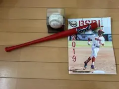 アメリカ 大学野球 記念バッド ボール