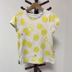hakka kids ハッカキッズ レモン ミツバチTシャツ キッズ120cm