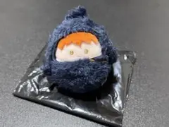 ハイキュー くるみたぴぬい 日向翔陽
