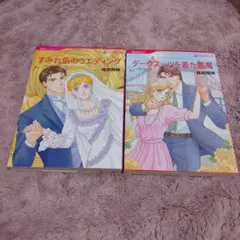 綾部瑞穂 すみれ色のウエディング ダークスーツを着た悪魔 2冊セット