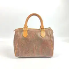 エトロ etro ハンドバッグ ペイズリー柄 中古品