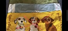 saucy dog タオル2枚＋ラバーバンド