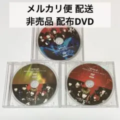 ヴィドール 透明犯罪 配布 DVD 3枚セット / V系 非売品 インディーズ