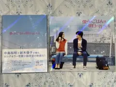 ✨美品✨僕らのごはんは明日で待ってる DVD☆パンフレット付き✨