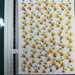 メラスフェルラ　 NO26 2025年 つぼみ付き 押し花 押し花素材
