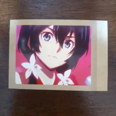 文豪ストレイドッグス ぱしゃこれ