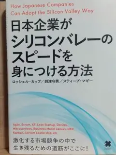 日本企業がシリコンバレーのスピードを身につける方法