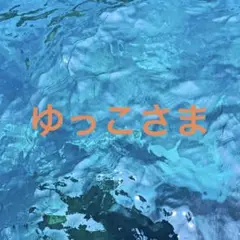 ゆっこさま専用