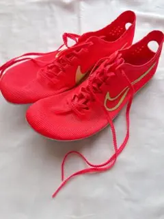 Nike ズームマンバ6