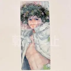 FGO 最終再臨展 編成画面風カード extraⅡ　オベロン ②
