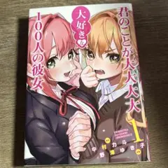 君のことが大大大大大好きな100人の彼女 １巻、2巻