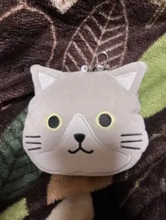 定期入れ