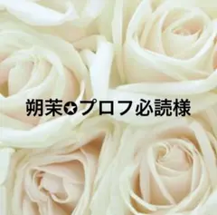 ご確認用