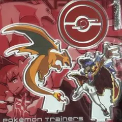 ポケモン アクリルスタンド アクスタ ダンデ リザードン