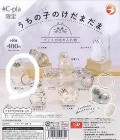 うちの子のけだまだま シャム