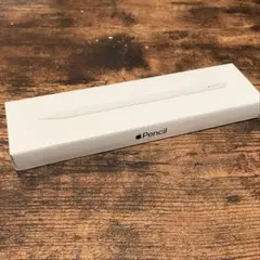 Apple Pencil (USB-C) 正規品
