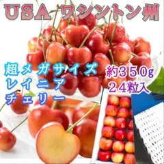 2025年最新】レイニアチェリーの人気アイテム - メルカリ