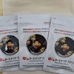 ビタブリッドジャパン ターミナリアファースト 120粒