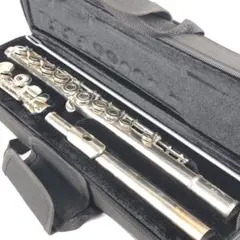 The Splendor flute スプレンダーフルート ハードケース付き m65714288687_1.jpg?1728457573